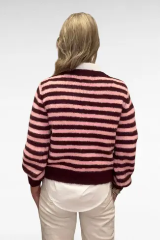 Alternative view of Gestreept Vest Paars