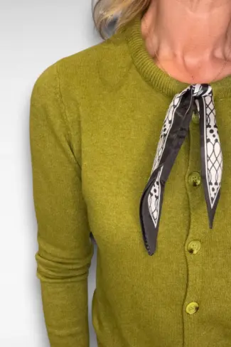 Alternative view of Groen vest met Sjaal