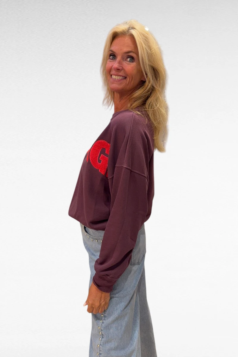 Sweat Oversize VINTAGE Paars - Afbeelding 2