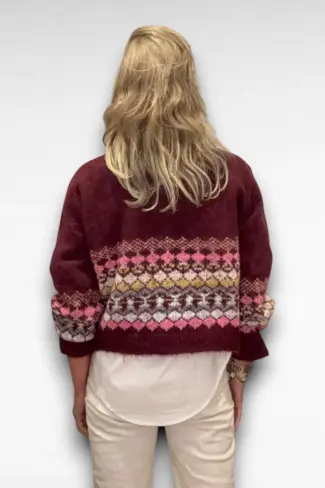 Alternative view of Vest met Motief Rood